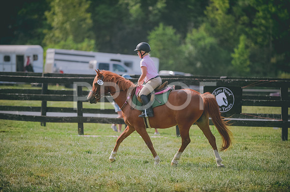 JJS_3964