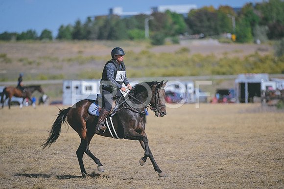DSC_7498