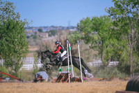 DSC_6180A