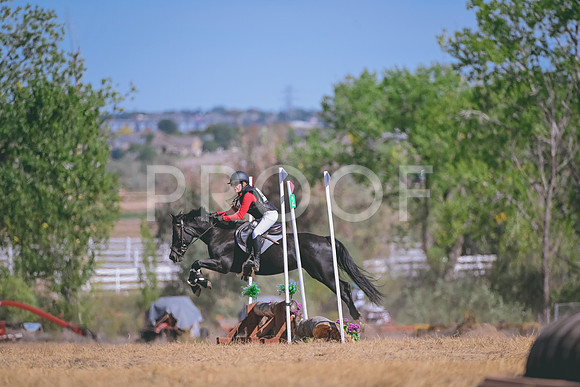 DSC_6180A