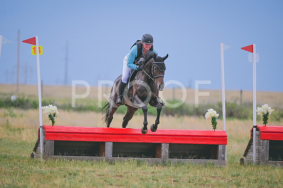 DSC_1594