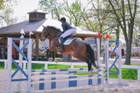 MEL_6201