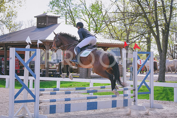 MEL_6201