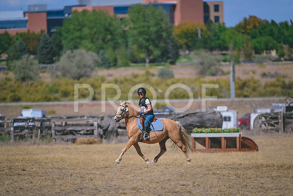 DSC_4371A