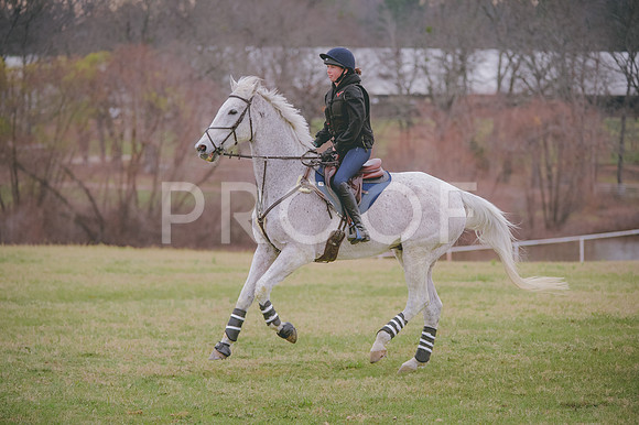 JJS_0591