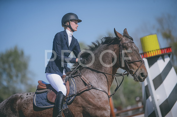 JJS_3198