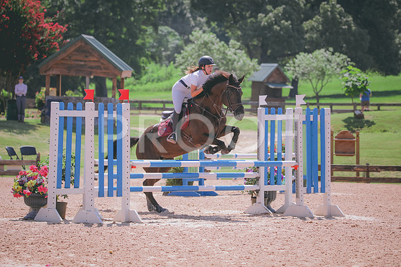 RWP_5288