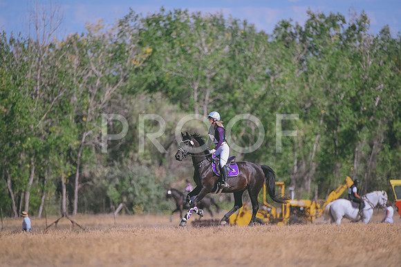 DSC_1313A