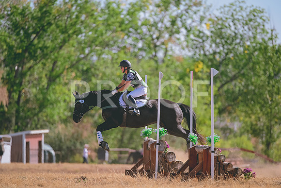 DSC_8311