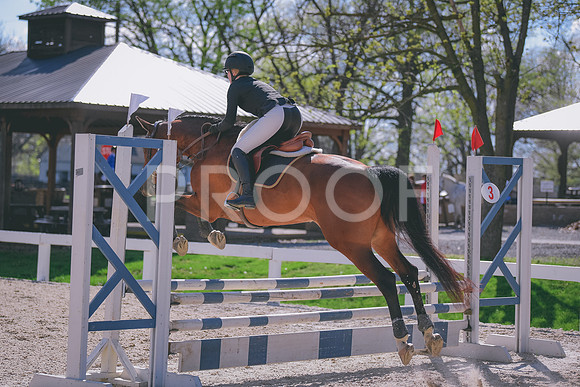 MEL_6384
