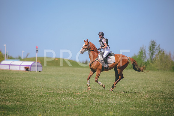 SWP_9740