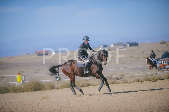 JJS_2739