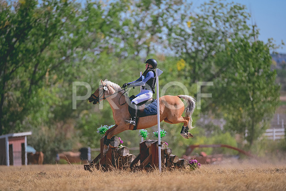 DSC_1193