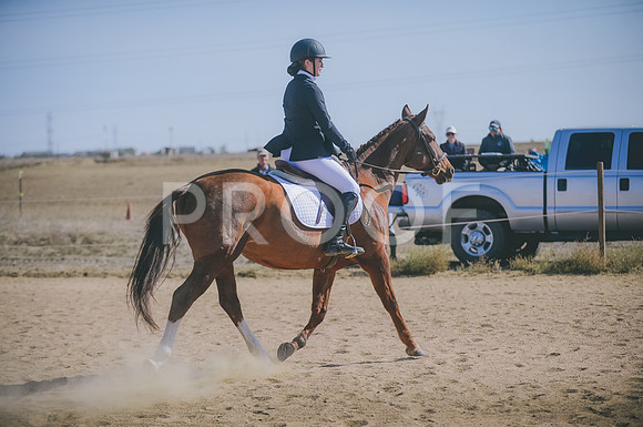 JJS_6741