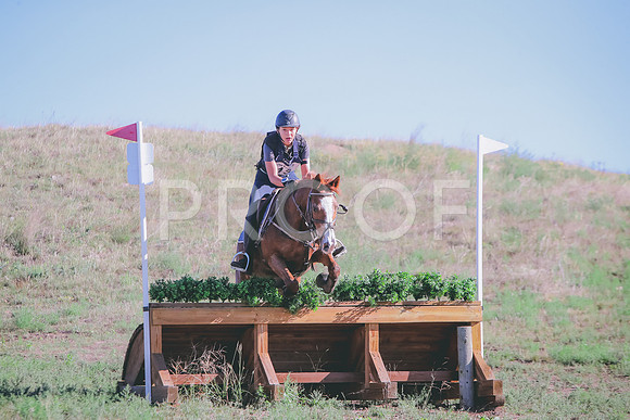 CDH_8290