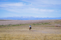 DSC_1930