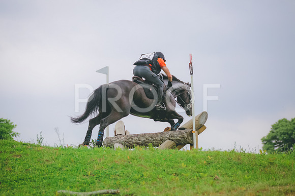 SWP_3403