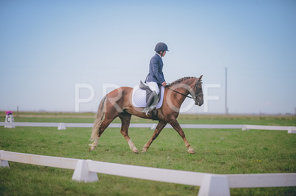 JJS_1308