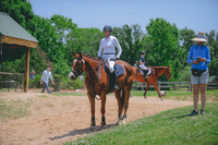 Stephanie Lewis/Flashing Arkie