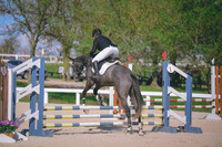 MEL_6524