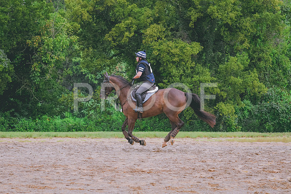 DSC_5132