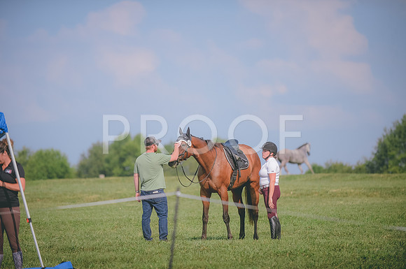 JJS_3873