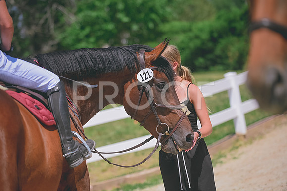 DSC_1381