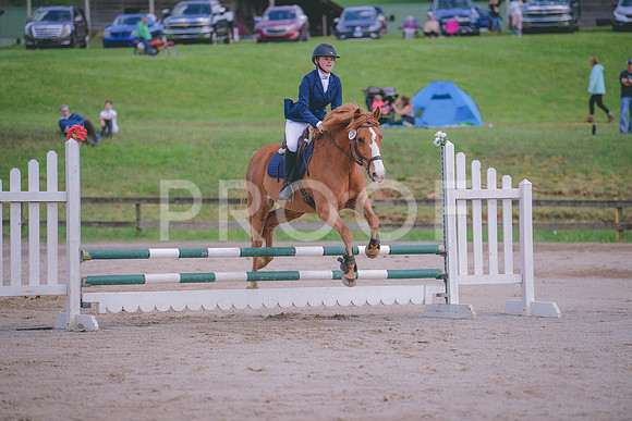 MEI_6487