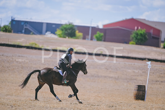 DSC_6053A