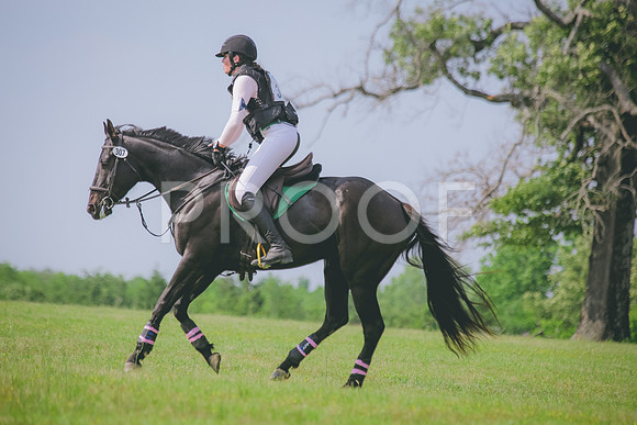 SWP_0076
