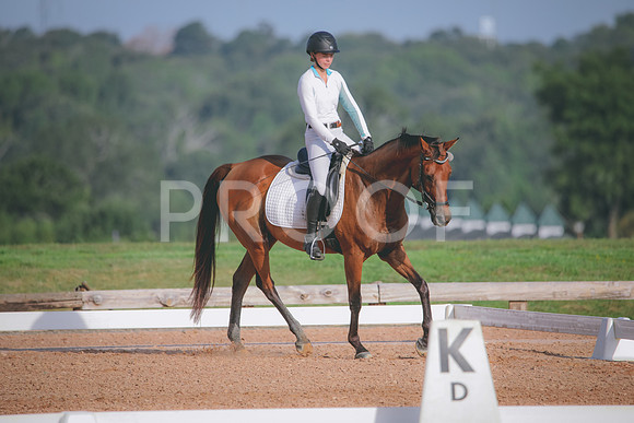 RWP_4464