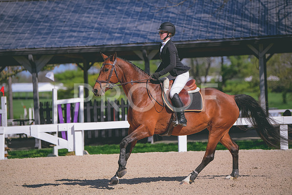 MEL_6389