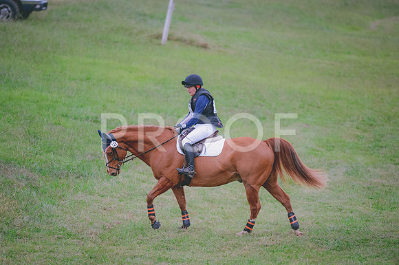 JJS_4243A