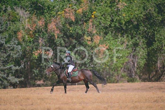 DSC_7683A