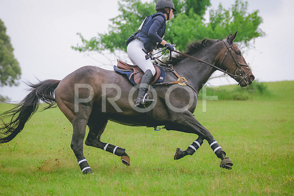 SWP_2486