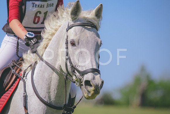 SWP_0347