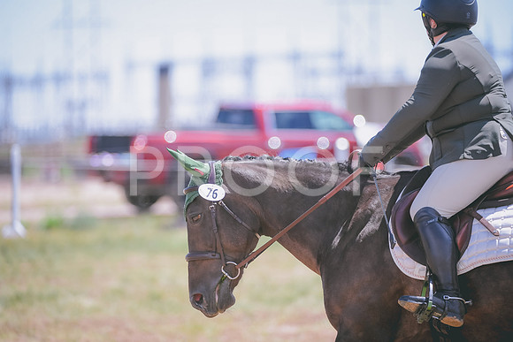 DSC_3136