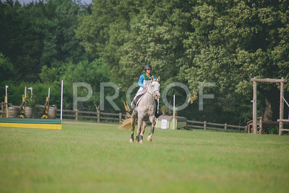 SWP_0384