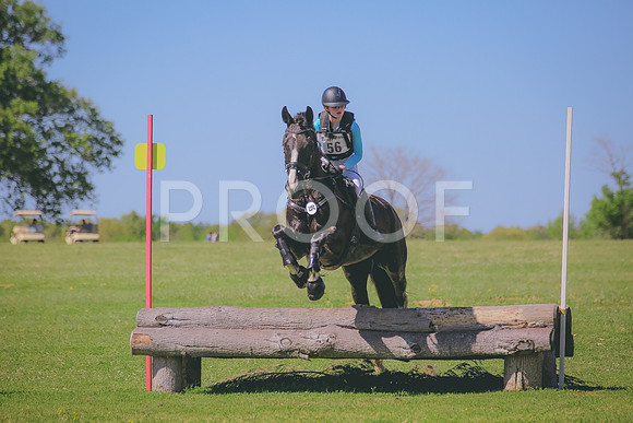 SWP_0168
