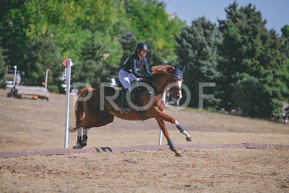 DSC_0402