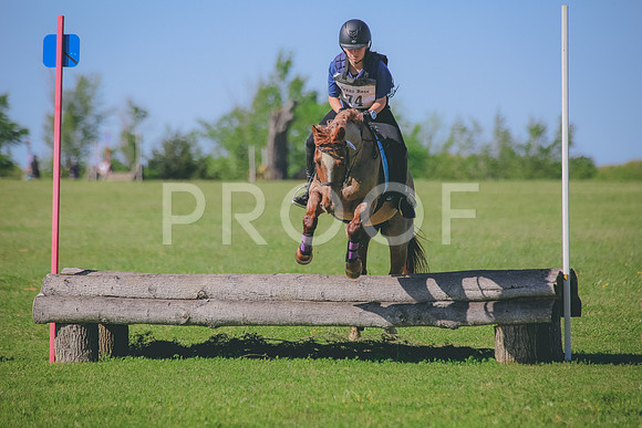 SWP_0586