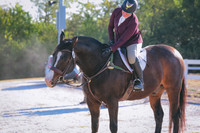 4HLJ6779