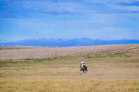 DSC_1089