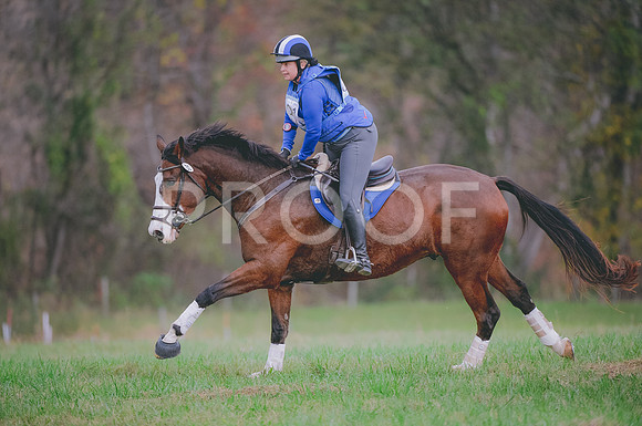 JJS_0761A