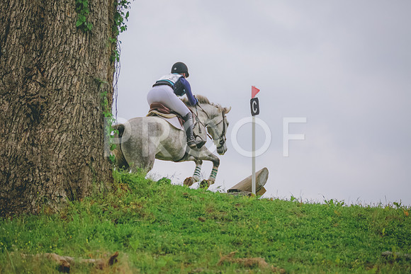 SWP_3235