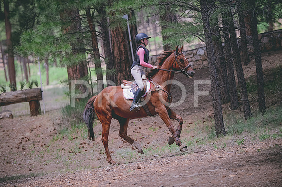 JJS_8070
