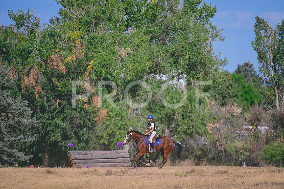 DSC_4517A