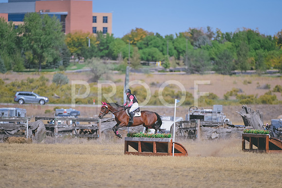 DSC_4195A