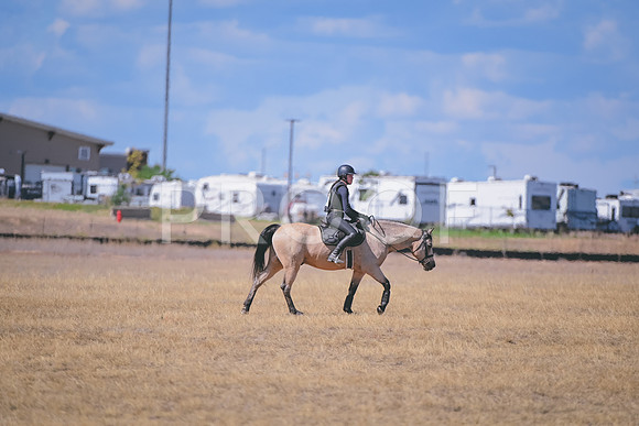DSC_1428A