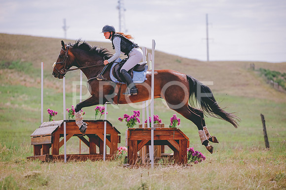 _ARC7490